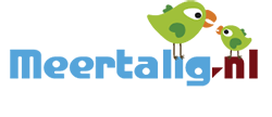 logo-meertalig3